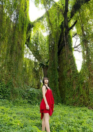 在线观看日本黄色_午夜伦理正片免费观看