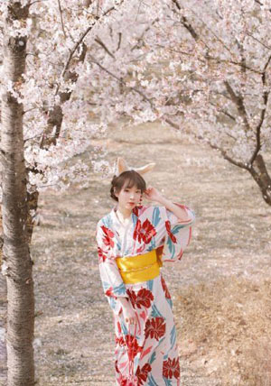 午夜久久久久久久久久_全集完整版免费观看视频