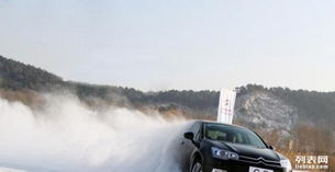 中汽聯認證車手專業陪駕與代駕服務 安全駕乘的全新選擇