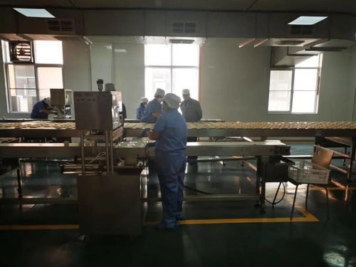 陜西五大供應鏈行業標桿企業創始人齊聚，分享數字化轉型之路與西安網站建設經驗